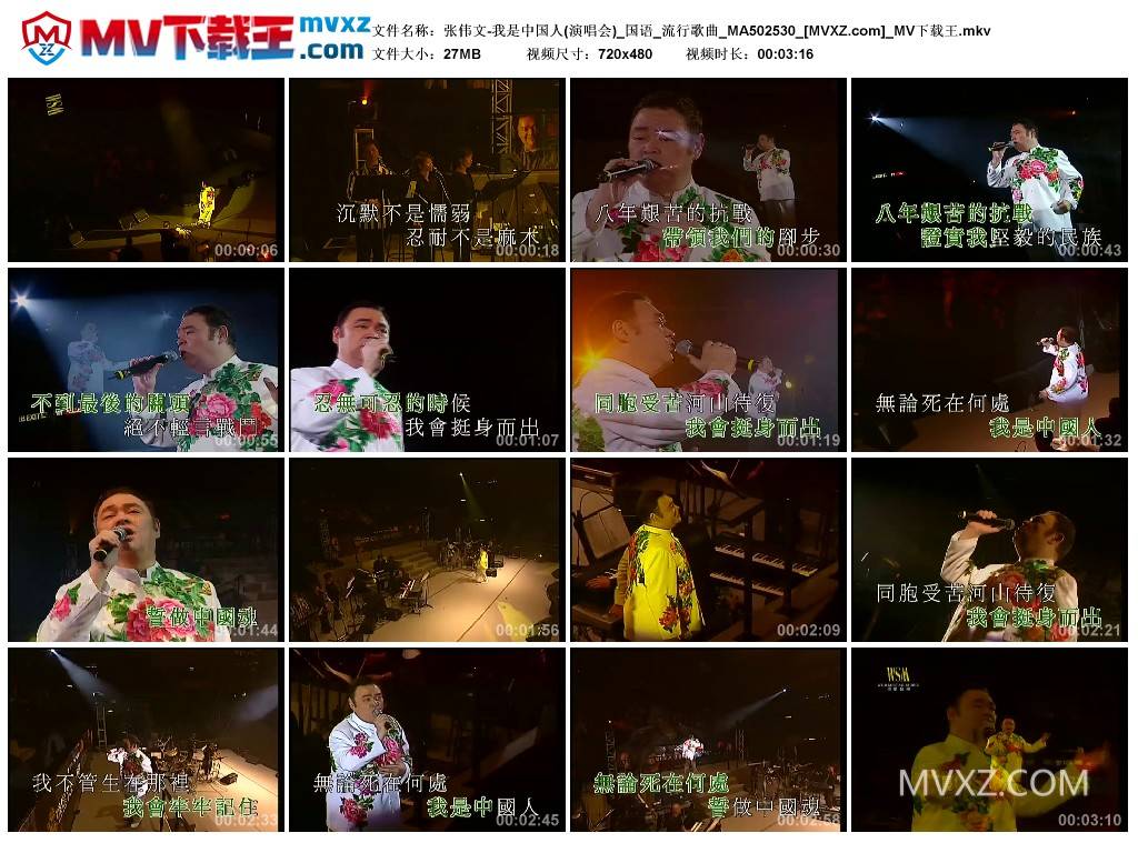 张伟文-我是中国人(演唱会)_国语_流行歌曲_MA502530